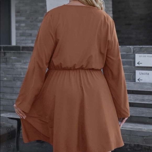 Sz.14 Rust brown dress. Brand new, never worn. - Picture 2 of 2